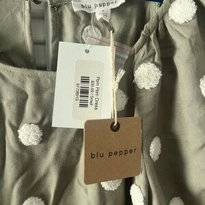 Blu Pepper Dress, sage & white, small, brand new!